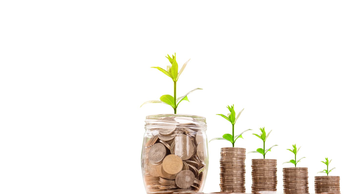 Investor Corner